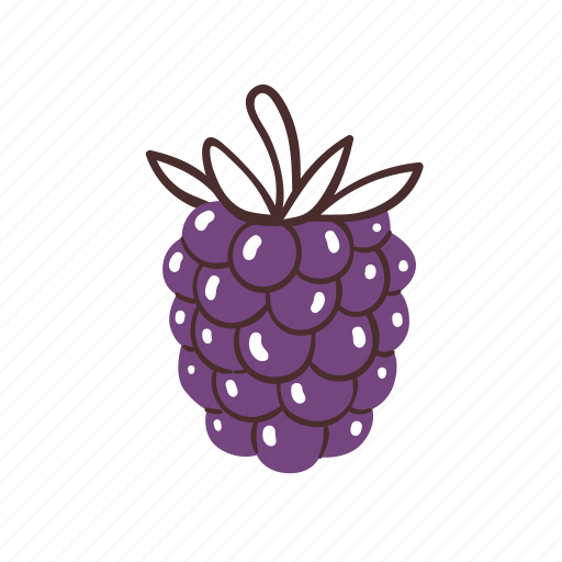 Blackberry, berries, fruit, fresh, healthy icon - Download on Iconfinder
