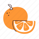 orange, citrus, fruit, food, fresh