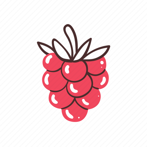 Raspberry, berry, fruit, food, healthy, fresh icon - Download on Iconfinder