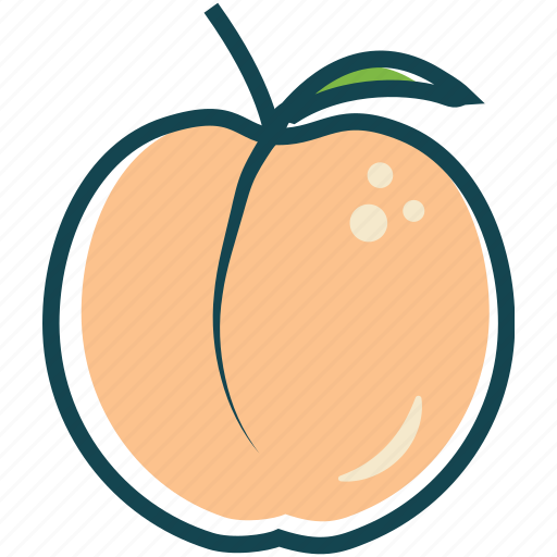Fruit, fruits, healthly, peach icon - Download on Iconfinder