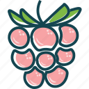 fruit, fruits, raspberry, sweet