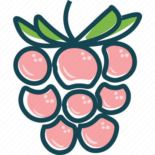 Fruit, fruits, raspberry, sweet icon - Download on Iconfinder