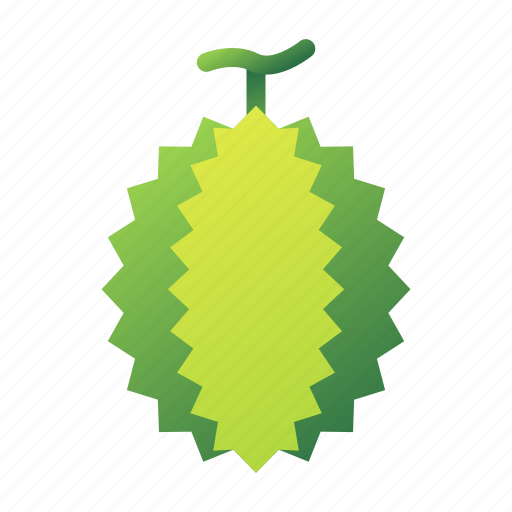 Durian, fruit, tropical, durian fruit, fresh, smelly, healthy icon - Download on Iconfinder