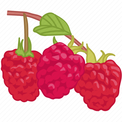 Berrys, flavor, fruit, raspberries, raspberry icon - Download on Iconfinder