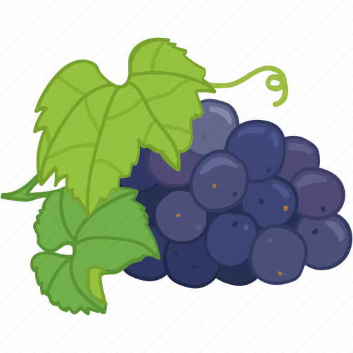 Flavor, fruit, grape, grape juice, grapes icon - Download on Iconfinder