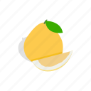 citrus, fruit, grapefruit, healthy, isometric, pomelo, yellow