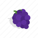 berry, blue, fruit, grape, green, isometric, ripe