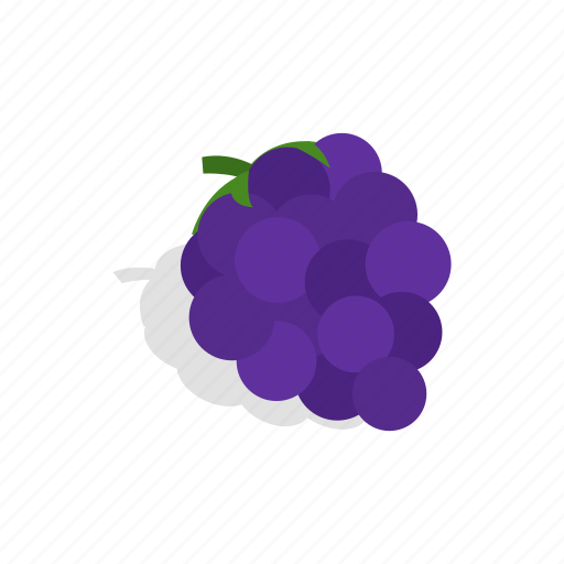 Berry, blue, fruit, grape, green, isometric, ripe icon - Download on Iconfinder