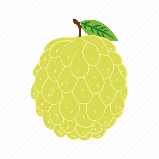 Custard apple, sitaphal, sugar apple, sweetsop, sharifa, bullocks heart, fruit icon - Download on Iconfinder
