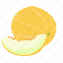 muskmelon, cantaloupe, melon, pulpy, rock melon, cucurbitaceae, fruit