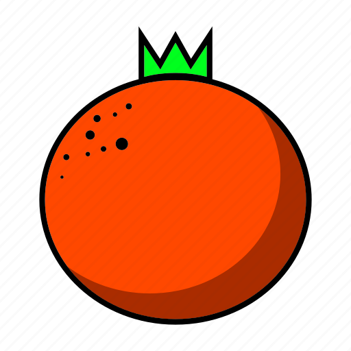Fruits, orange icon - Download on Iconfinder on Iconfinder