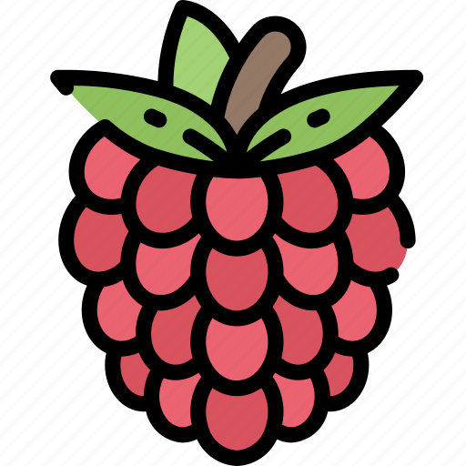 Eating, food, fruit, health, raspberry icon - Download on Iconfinder