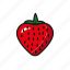 cooking, food, fresh, fruit, healthy, nature, strawberry 