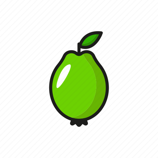 Cooking, food, fresh, fruit, guava, nature icon - Download on Iconfinder