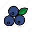 berry, blueberry, food, fresh, fruits, organic, vegan 