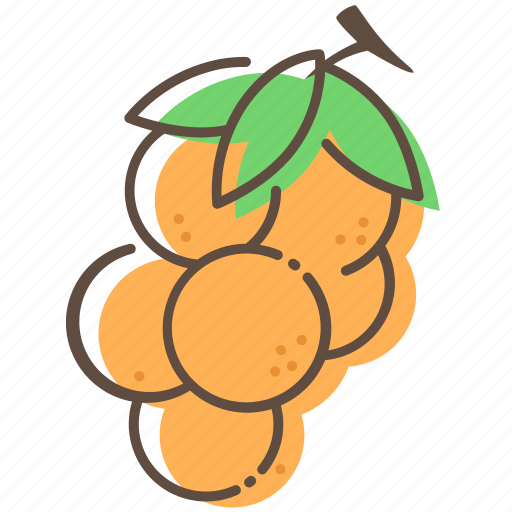 Longan, fruit, healthy, food icon - Download on Iconfinder