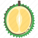 durian, fruit, healthy, food
