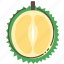 durian, fruit, healthy, food 