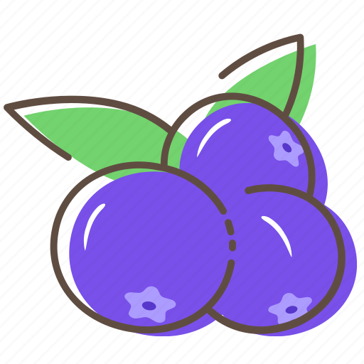 Blueberry, fruit, healthy, food icon - Download on Iconfinder