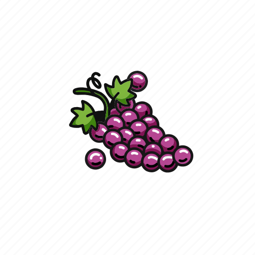Grapes, food, fruits, grape, healthy, fruit, fresh icon - Download on Iconfinder