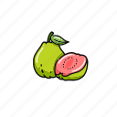guava, fresh, fruits, fruit, food, healthy, sweet, organic, icon fruits