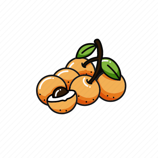Longan, fruit, fruits, sweet, food, fresh, tropical icon - Download on Iconfinder