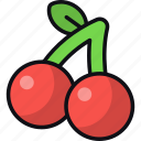 cherry, fruit, healthy food, diet, organic, vegan