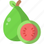 guava, fruit, healthy food, diet, organic, vegan 