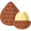 salak, tropical fruit, exotic fruit, healthy food, diet, organic 