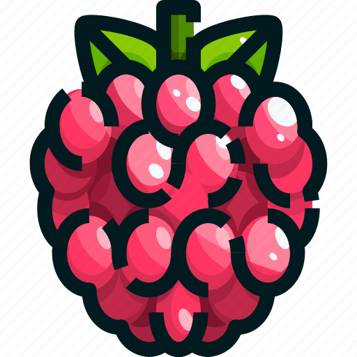 Food, fruit, fruits, healthy, raspberry icon - Download on Iconfinder