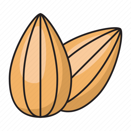 Almond, dry, eat, fruit, nuts icon - Download on Iconfinder
