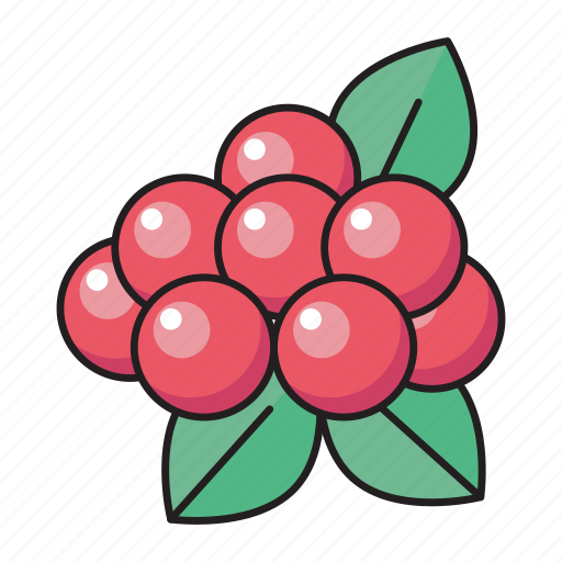 Berries, eat, food, fruit, grapes icon - Download on Iconfinder