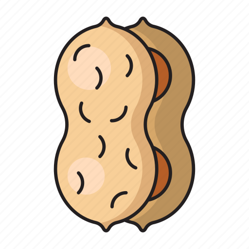 Dry, eat, fruit, nut, peanut icon - Download on Iconfinder