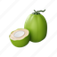 young coconut, coconut, green, nature, drink, natural, cool, summer, fruit, 3d 