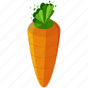 carrot, food, healthy, organic, vegetable