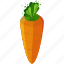 carrot, food, healthy, organic, vegetable 