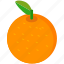 orange, citrus, food, fruit, healthy 