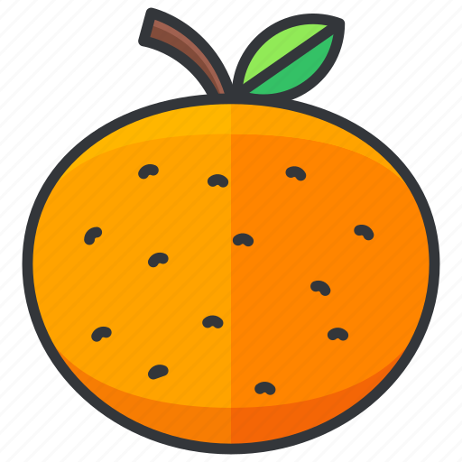 Food, fruit, health, orange, organic icon - Download on Iconfinder