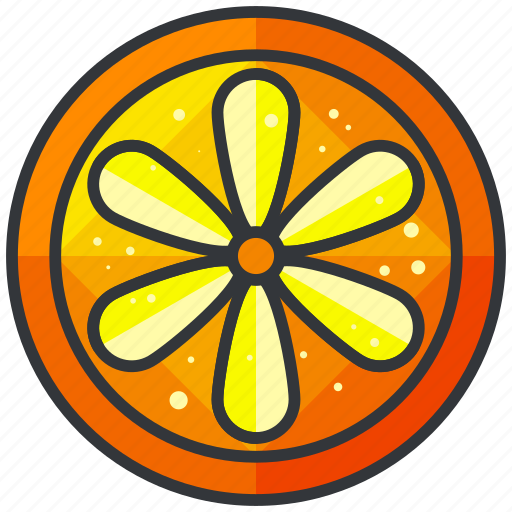 Food, fruit, health, orange, organic, slice icon - Download on Iconfinder
