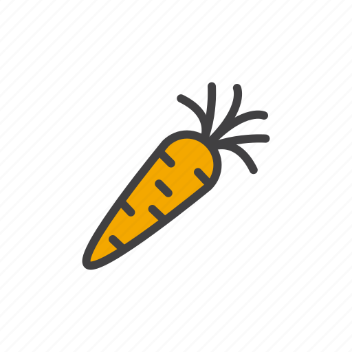 Carrot, vegetable, vitamins icon - Download on Iconfinder