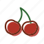 cherry, food, meal, plant 