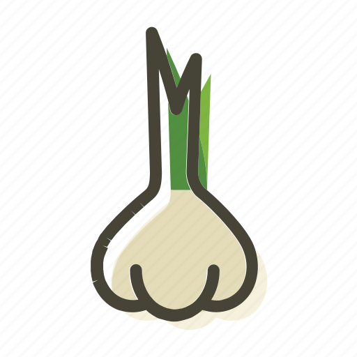 Garlic, food, meal, plant icon - Download on Iconfinder