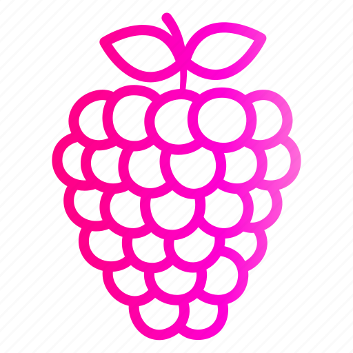 Berry, fresh, fruits, healthy, raspberry, sweet icon - Download on Iconfinder
