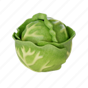 cabbage, vegetable, food, healthy 