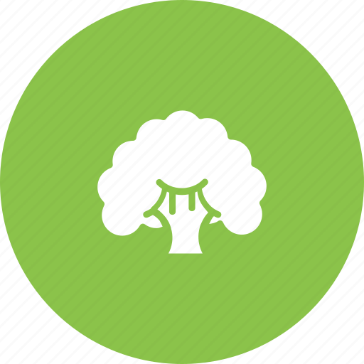 Broccoli, cauliflower, fibre, food, healthy, vegetable icon - Download on Iconfinder