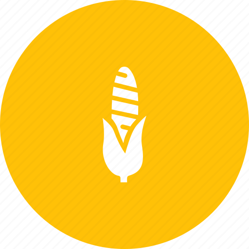 American, corn, food, grain, maize, sweet, vegetable icon - Download on Iconfinder
