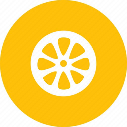 Citrus, fruit, orange, tropical icon - Download on Iconfinder