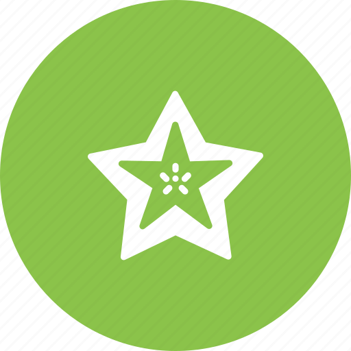 Fruit, starfruit, food icon - Download on Iconfinder