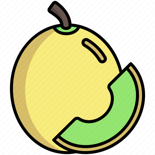 Melon, fruit, organic icon - Download on Iconfinder