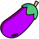 eggplant, aubergine, vegetable